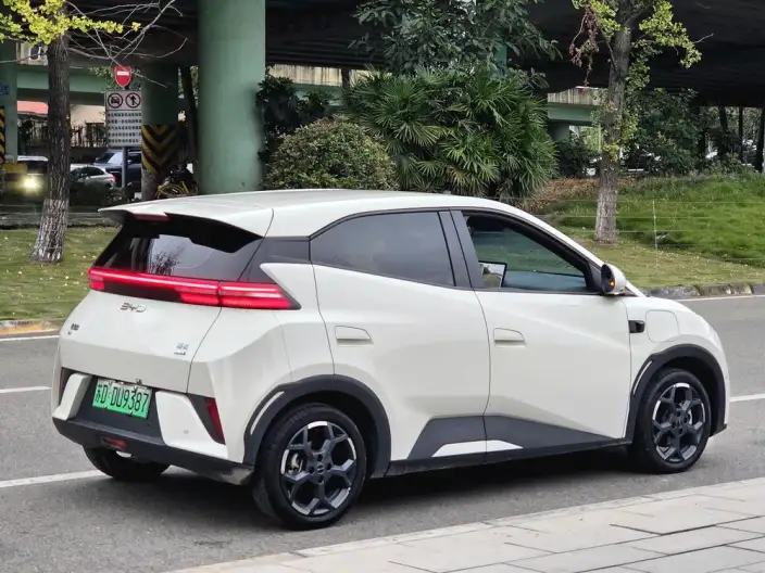 BYD Seagull 2025 Model Smart Driving Edition 305KM Free Edition – фото 7