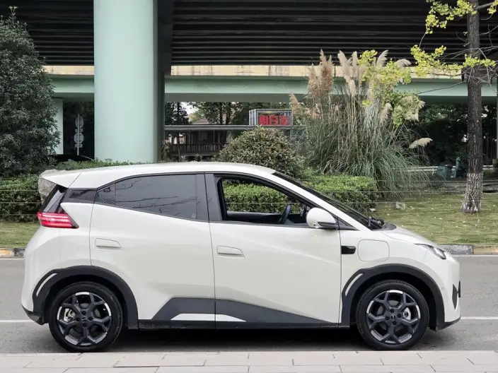 BYD Seagull 2025 Model Smart Driving Edition 305KM Free Edition – фото 8