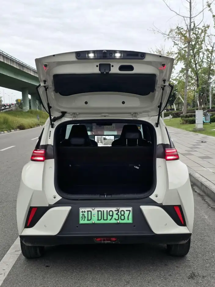 BYD Seagull 2025 Model Smart Driving Edition 305KM Free Edition – фото 9