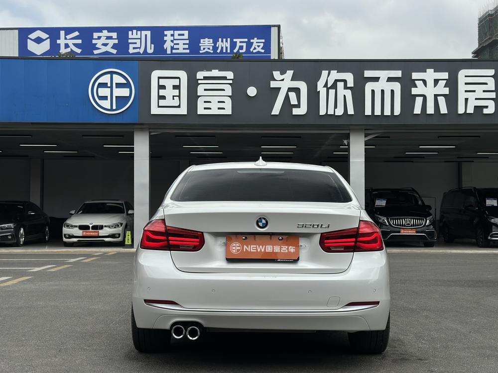 BMW 3 Series 2018 320Li Style – фото 6