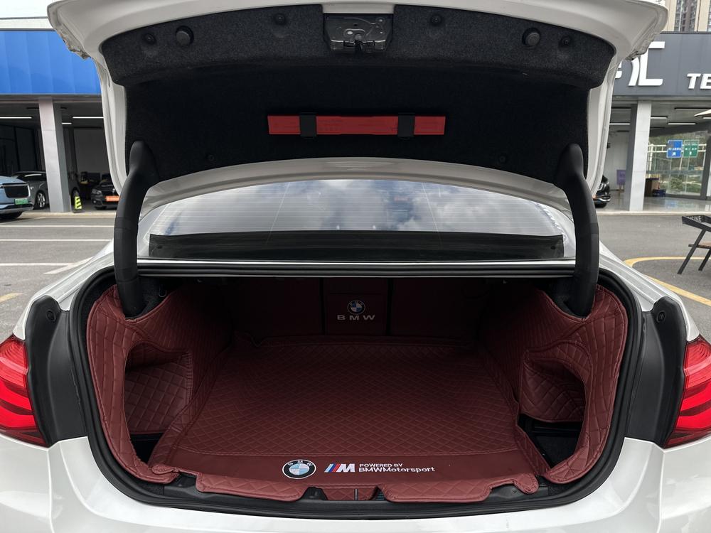 BMW 3 Series 2018 320Li Style – фото 20