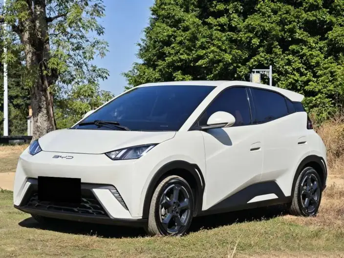 BYD Seagull 2023 Model Free Edition – фото 1