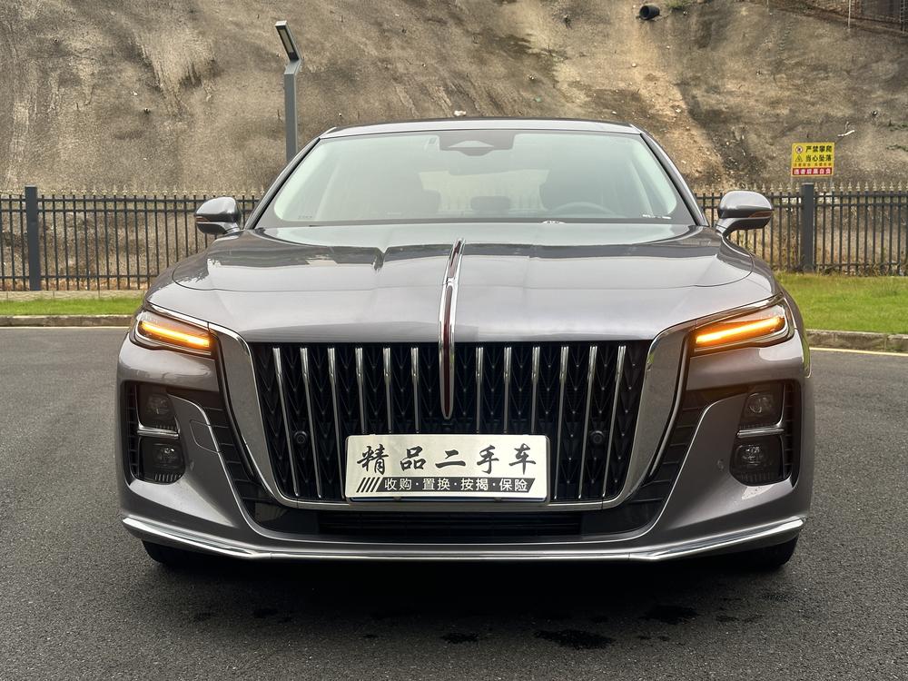 Hongqi H5 2023 2.0T Automatic Connected Qiling – фото 8