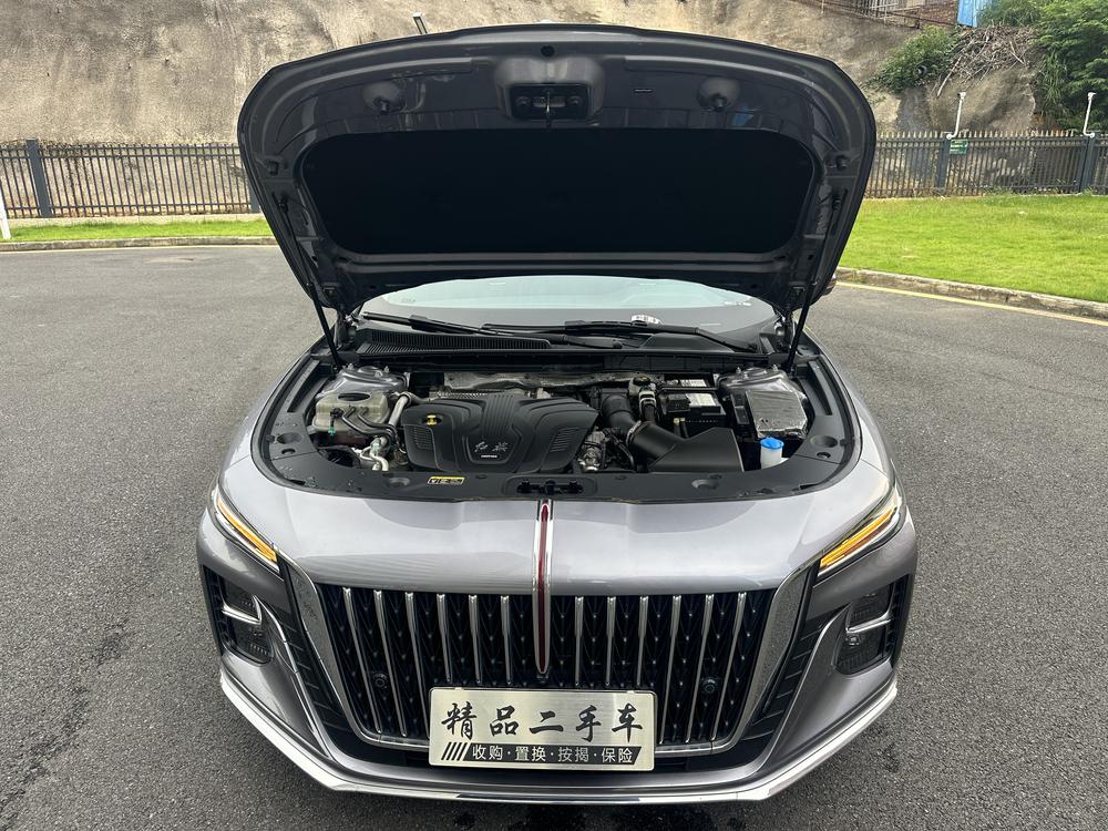 Hongqi H5 2023 2.0T Automatic Connected Qiling – фото 9