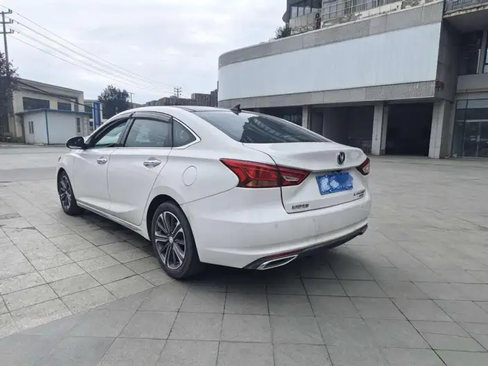 Changan Ruicheng CC 2022 Model Blue Whale Edition 1.5T DCT Luxury Model – фото 5