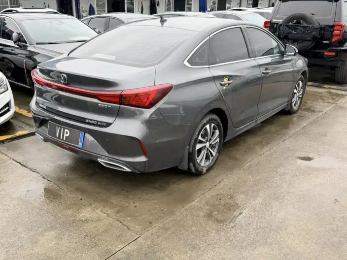 Changan Eado 2023 Model PLUS Changxiang Edition Blue whale NE 1.4T GDI DCT Noble Model