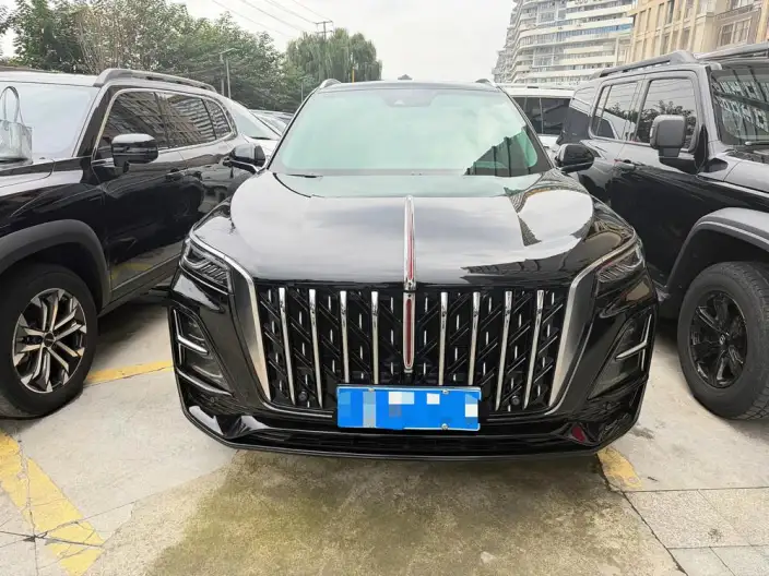 Hongqi HS5 2023 Model 2.0T Flag Xiang Pro Edition – фото 2