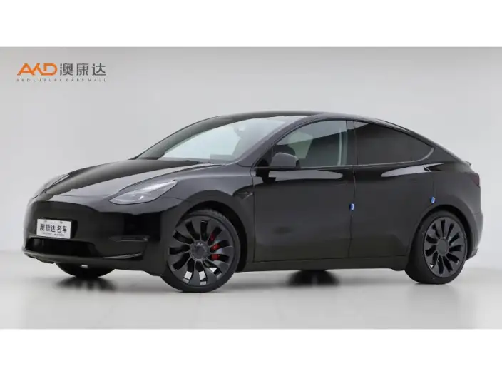 Model Y 2022 Model Performance High performance All-wheel drive version – фото 1