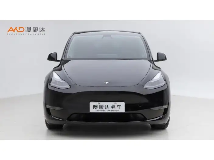 Model Y 2022 Model Performance High performance All-wheel drive version – фото 2