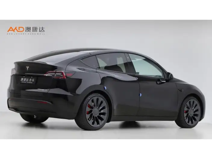 Model Y 2022 Model Performance High performance All-wheel drive version – фото 4
