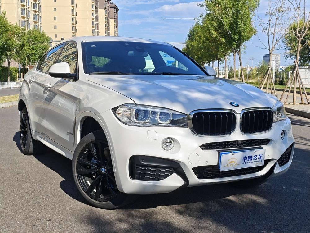 BMW X6 Модель 2019 года xDrive35i M Sports Set – фото 3