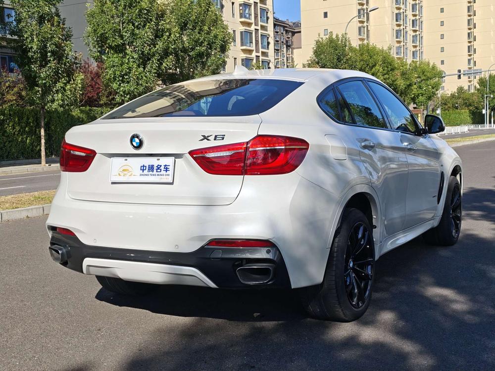 BMW X6 Модель 2019 года xDrive35i M Sports Set – фото 6