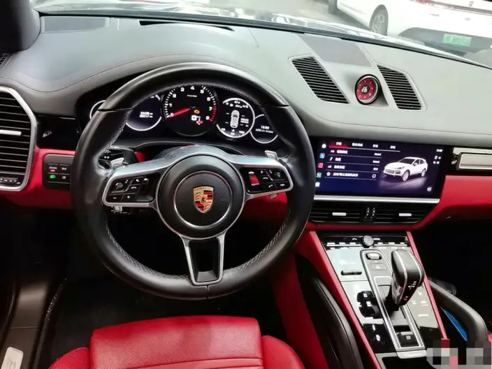 Cayenne 2023 Model Cayenne 3.0T Platinum edition – фото 6