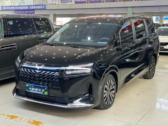 Xingguang 730 2025 Model 1.5T CVT Elite Model – фото 1