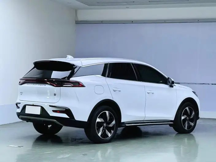 BYD Tang DM 2023 Model DM-i Champion Edition 112KM Zunrong Model – фото 6