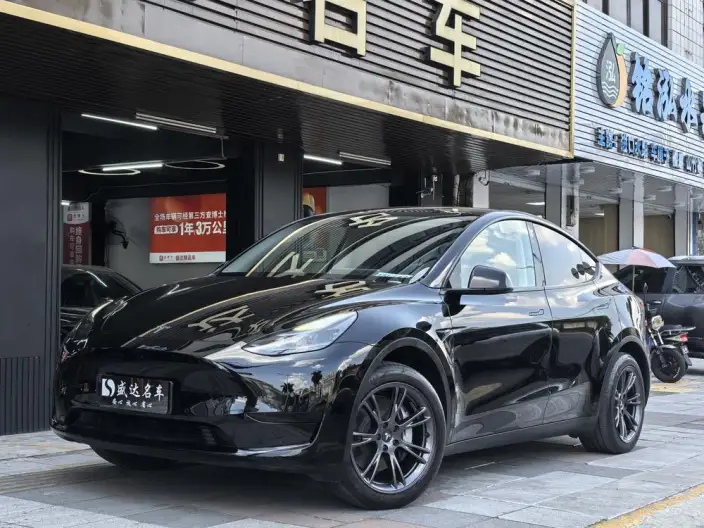 Model Y 2023 Model Rear-wheel drive version – фото 1