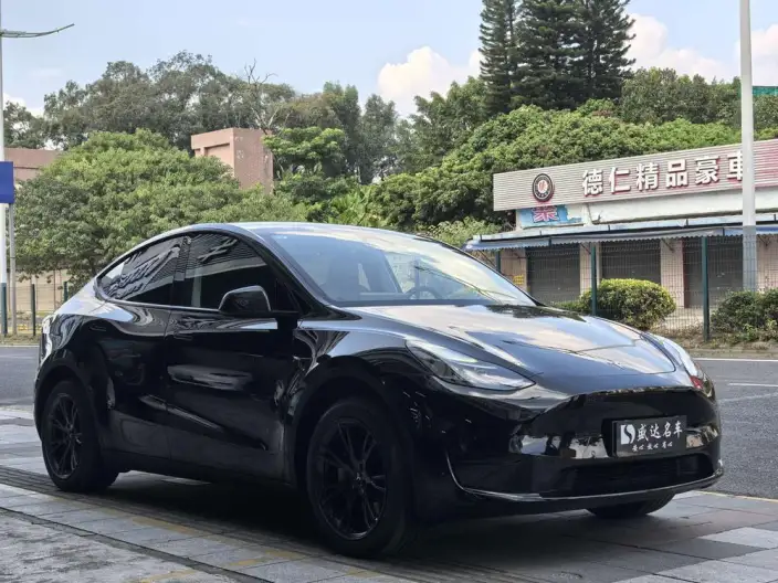 Model Y 2023 Model Rear-wheel drive version – фото 3