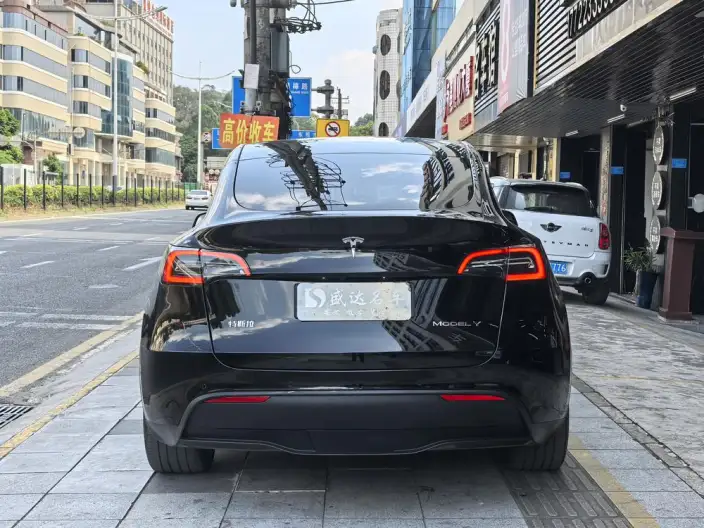Model Y 2023 Model Rear-wheel drive version – фото 5