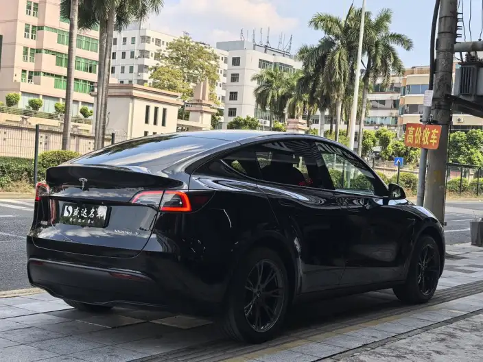 Model Y 2023 Model Rear-wheel drive version – фото 6