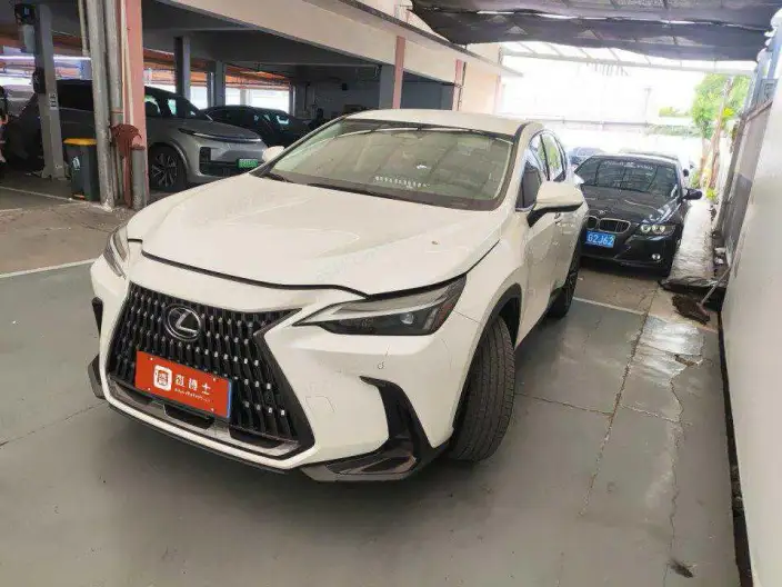 Lexus NX 2022 Model 260 Qian Drive Innovation Drive Edition