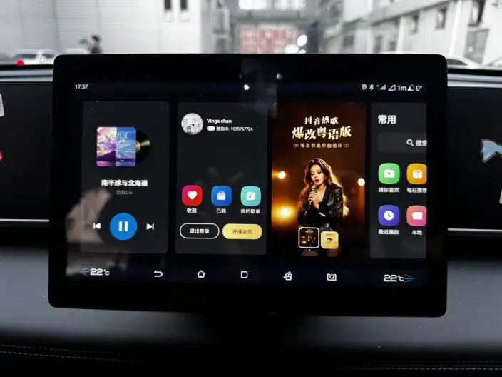 QinL DM 2024 Model DM-i 80KM Leading Model – фото 7