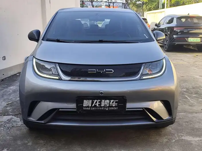 BYD Dolphin 2023 Model Free Edition