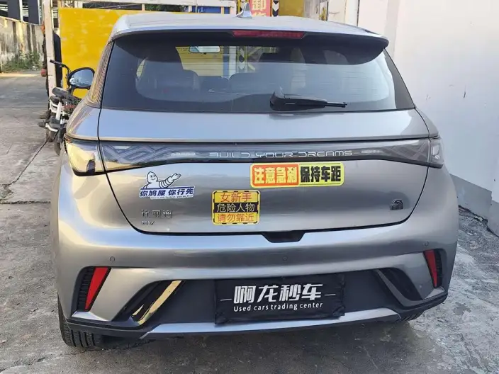 BYD Dolphin 2023 Model Free Edition