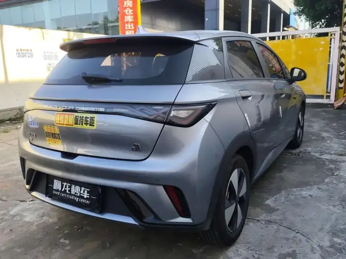 BYD Dolphin 2023 Model Free Edition – фото 5