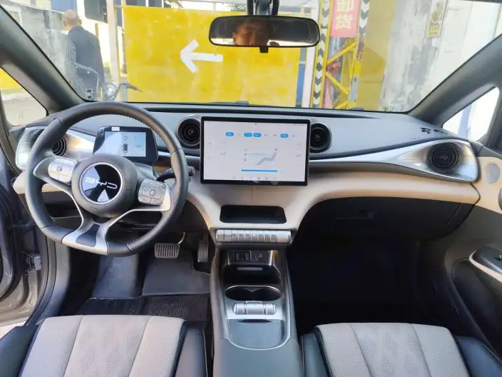 BYD Dolphin 2023 Model Free Edition – фото 6