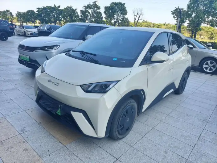 BYD Seagull 2023 Model Vitality Edition