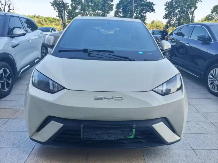 BYD Seagull 2023 Model Vitality Edition