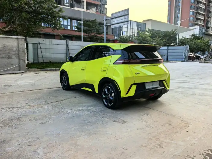 BYD Seagull 2023 Model Feixiang Edition – фото 5