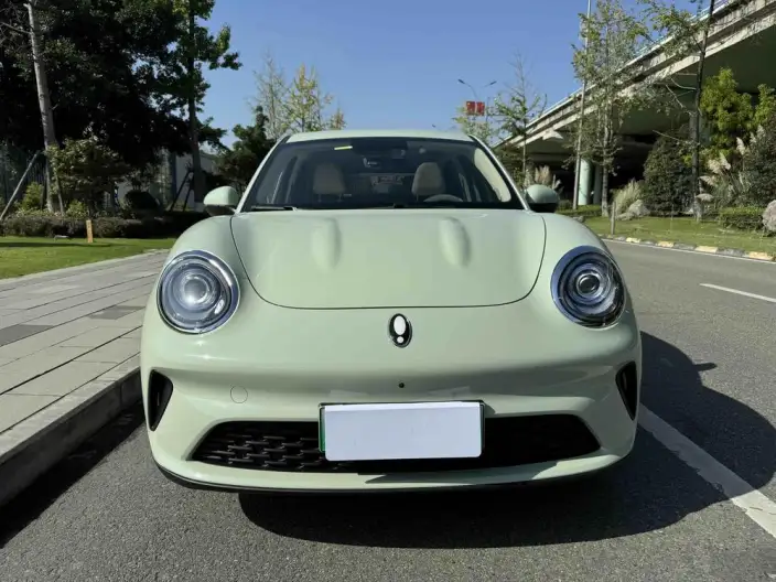 ORA Good Cat 2025 Model 430km Luxury Model