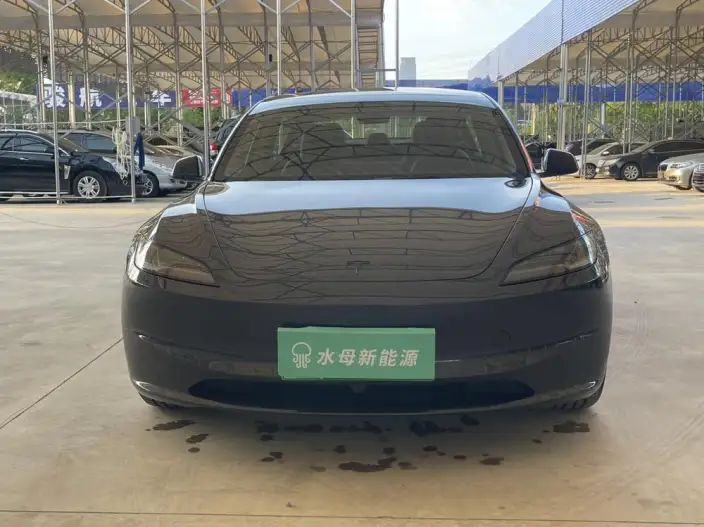 Model 3 2025 Model Facelift Rear-wheel drive version