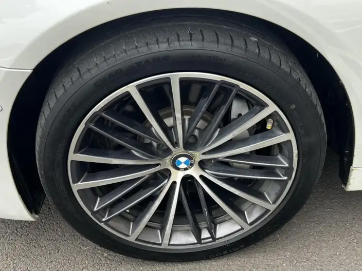 BMW 5 Series 2022 Model 530Li Leading Model M Sports Set – фото 9