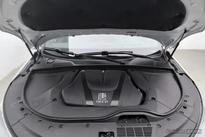 BYD Tang DM 2023 Model DM-p Champion Edition 215KM 4WD Flagship Model – фото 5