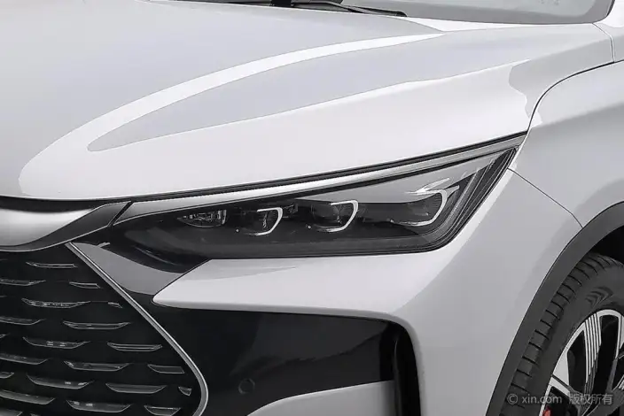 BYD Tang DM 2023 Model DM-p Champion Edition 215KM 4WD Flagship Model – фото 7