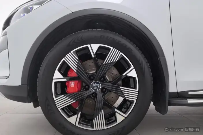 BYD Tang DM 2023 Model DM-p Champion Edition 215KM 4WD Flagship Model – фото 8