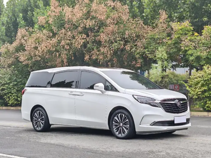 Buick GL8 2022 Model ES Luzun 653T Luxury Model