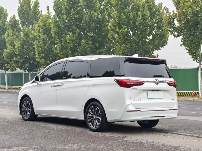 Buick GL8 2022 Model ES Luzun 653T Luxury Model – фото 5