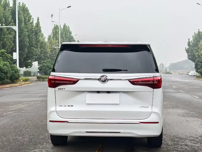 Buick GL8 2022 Model ES Luzun 653T Luxury Model – фото 6