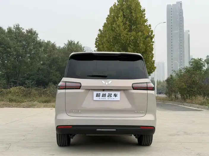 Xingguang 730 2025 Model 1.5T CVT Elite Model – фото 5