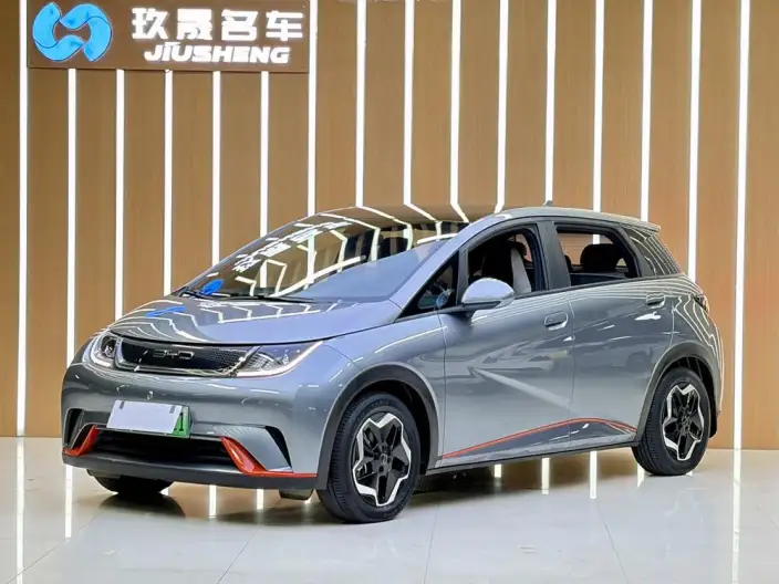 BYD Dolphin 2021 Model Free Edition