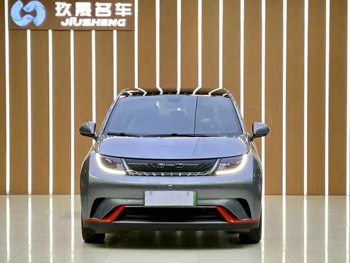 BYD Dolphin 2021 Model Free Edition