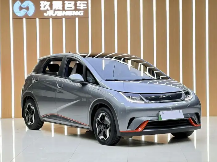 BYD Dolphin 2021 Model Free Edition