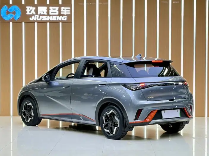 BYD Dolphin 2021 Model Free Edition