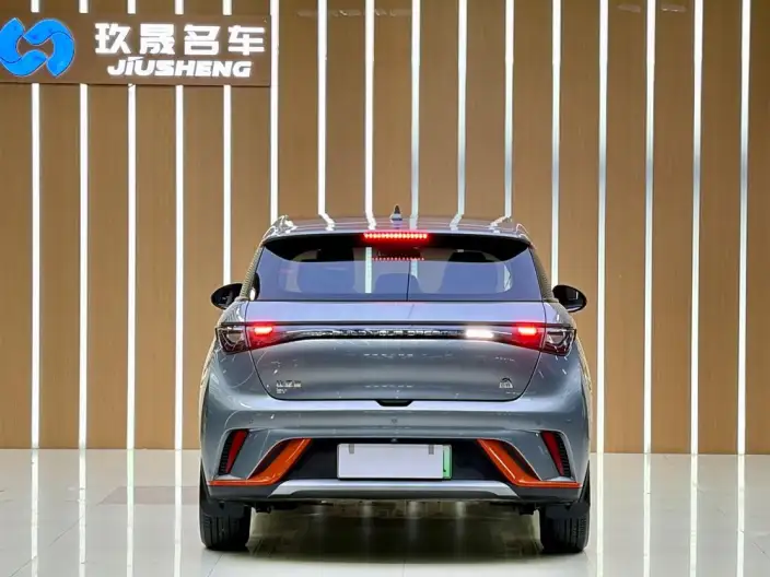 BYD Dolphin 2021 Model Free Edition – фото 5
