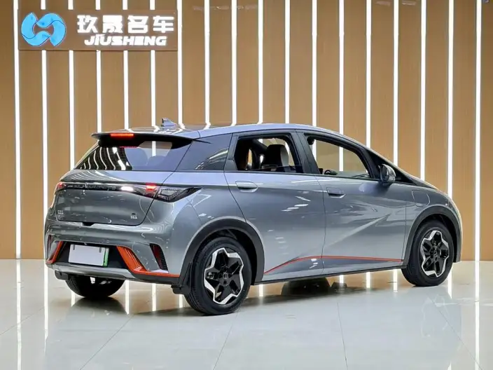 BYD Dolphin 2021 Model Free Edition – фото 6