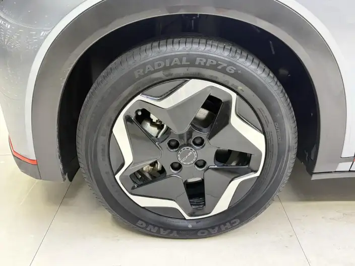 BYD Dolphin 2021 Model Free Edition – фото 8