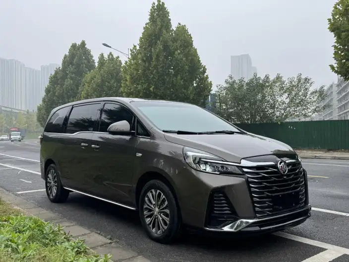 Buick GL8 2023 Model Business class 2.0T Luxury Model